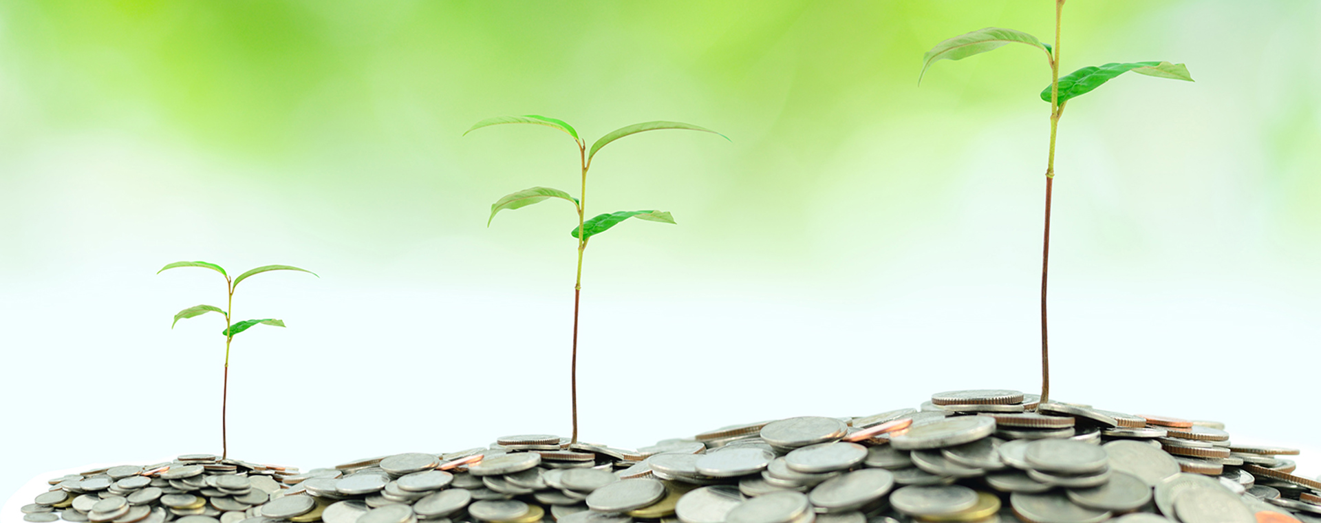 COLOURBOX4885252 (1)