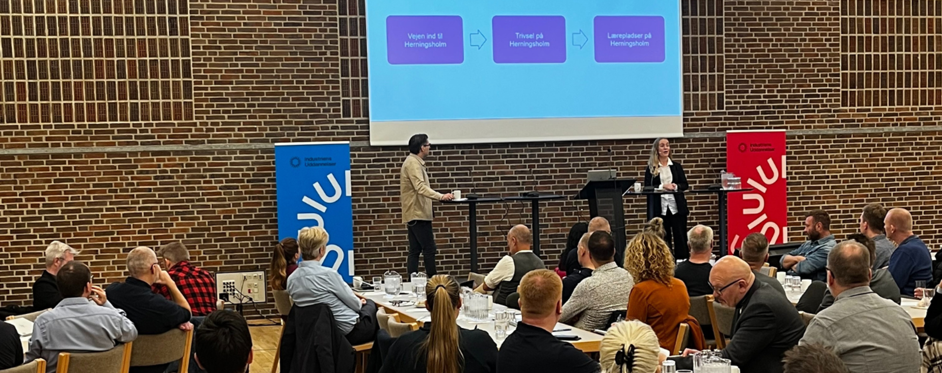 Uge 46 Nationalt Netværksmøde Om Diversitet