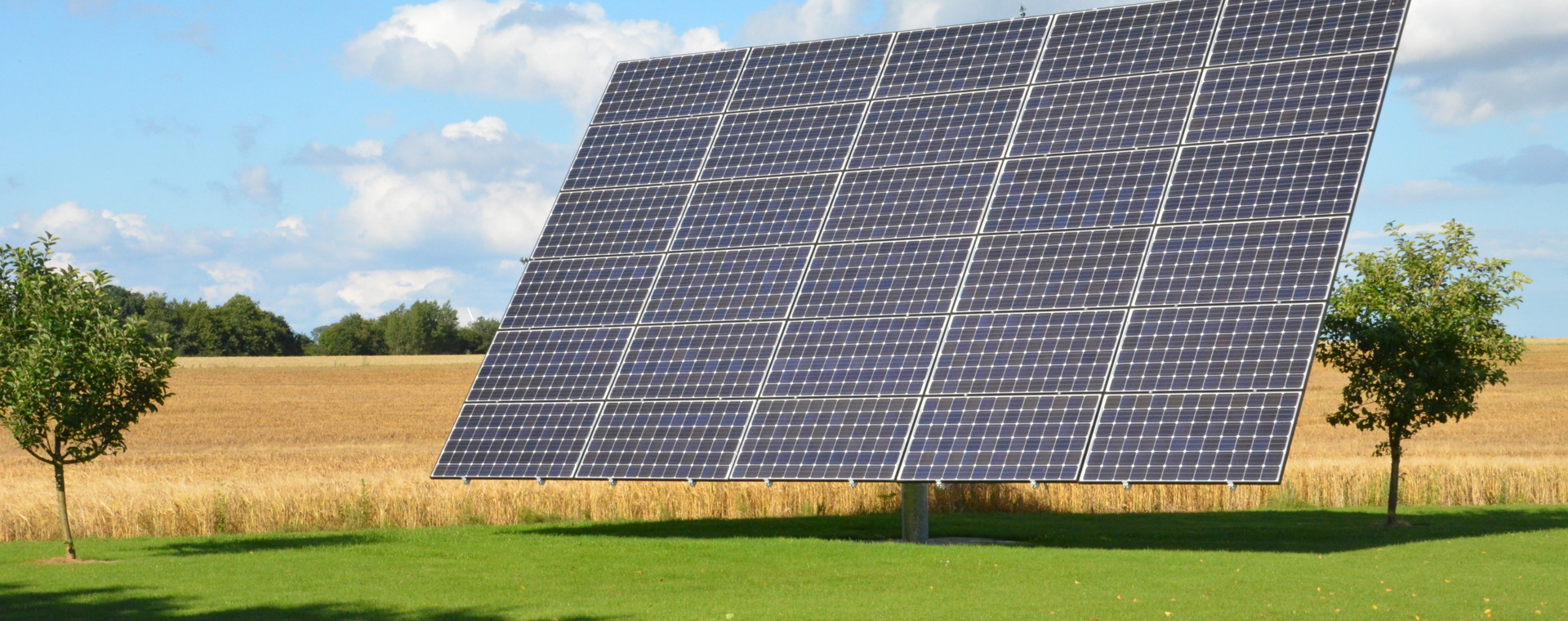 Bliv grønnere i din undervisning – kom på konference til efteråret