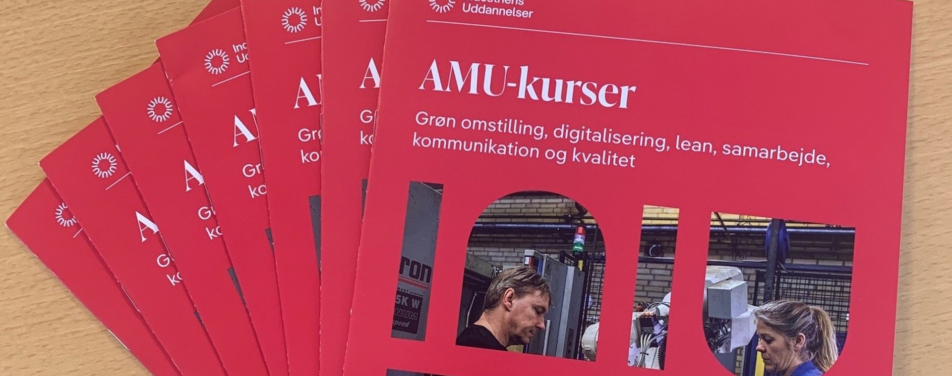 Den Pink Pjece Iu.Dk1