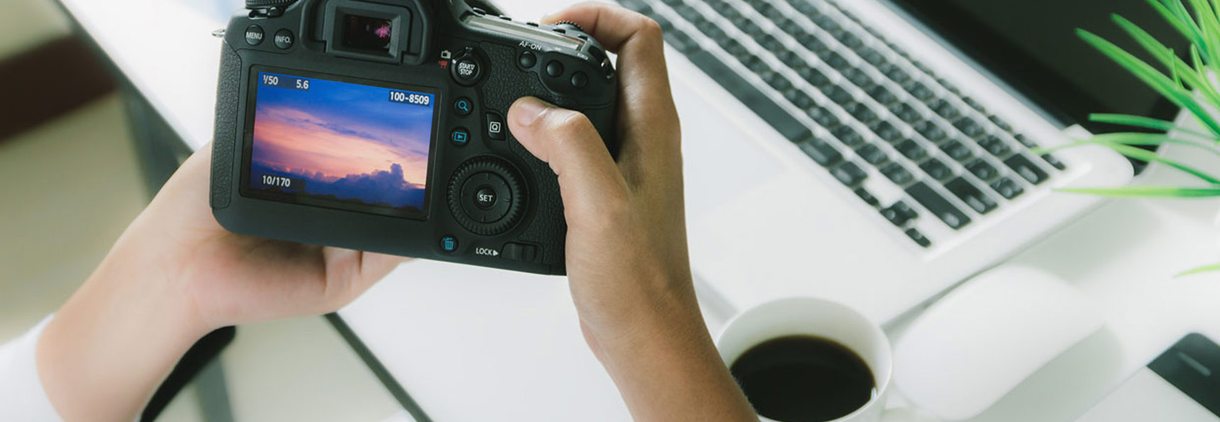 COLOURBOX20408495 Fotograf